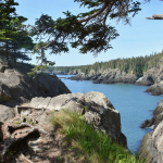 Bold Coast Trail Maine